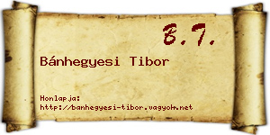 Bánhegyesi Tibor névjegykártya